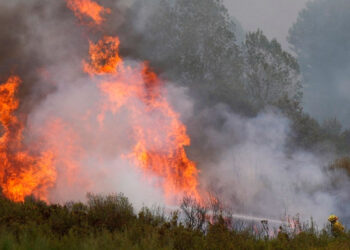 Incendios devastaron 250 mil hectáreas en España