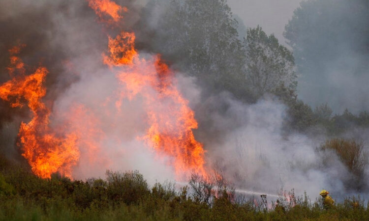 Incendios devastaron 250 mil hectáreas en España