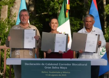 Firman acuerdo México, Guatemala y Belice para proteger selva