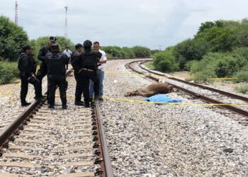 Muere junto a su caballo embestidos por el tren