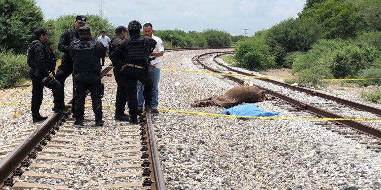 Muere junto a su caballo embestidos por el tren