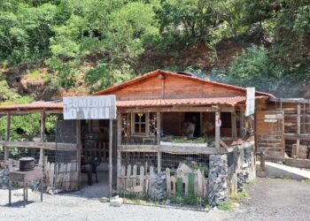 Saquean fonda, ¡se llevan hasta la olla de los frijoles!