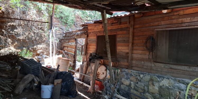 Saquean fonda, ¡se llevan hasta la olla de los frijoles!