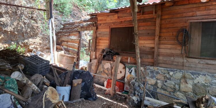 Saquean fonda, ¡se llevan hasta la olla de los frijoles!