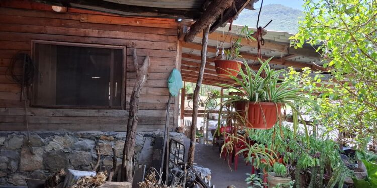 Saquean fonda, ¡se llevan hasta la olla de los frijoles!