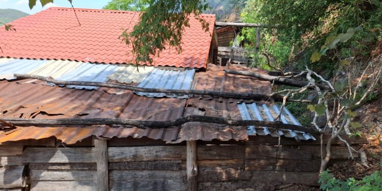 Saquean fonda, ¡se llevan hasta la olla de los frijoles!