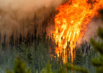 Canadá, bajo la peor ola de incendios en 3 años