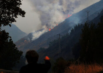 El 40 % de la población mundial está expuesta a incendios