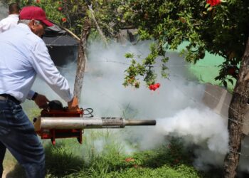 Mantienen al dengue bajo control