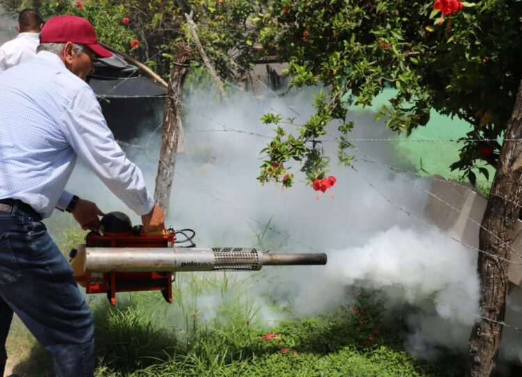Mantienen al dengue bajo control