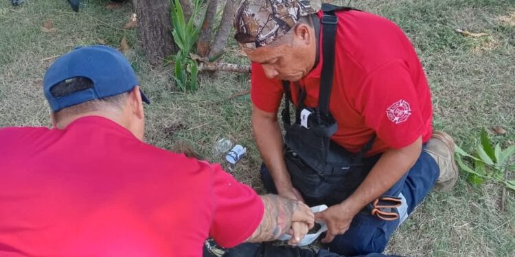 Motociclista se fractura al chocar contra palma