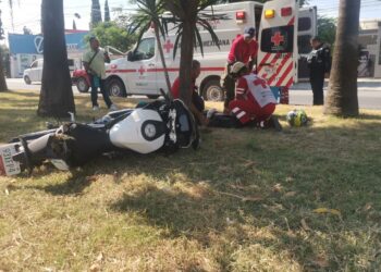 Motociclista se fractura al chocar contra palma