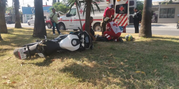 Motociclista se fractura al chocar contra palma