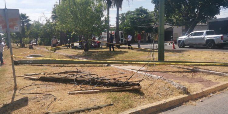 Motociclista se fractura al chocar contra palma