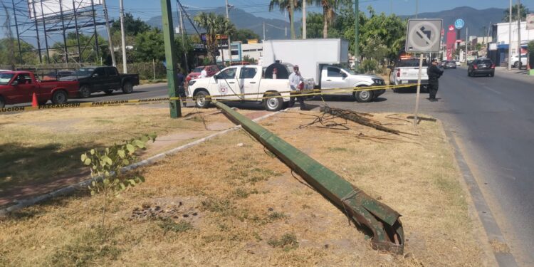 Motociclista se fractura al chocar contra palma