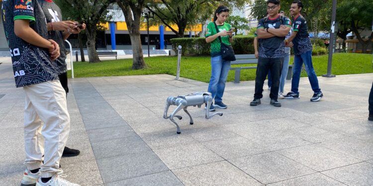 Investigan estudiantes de Universidad Politécnica Victoria con ¡roboperros!