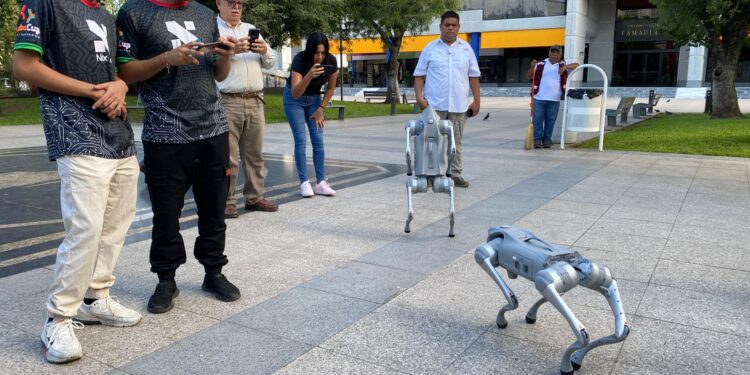 Investigan estudiantes de Universidad Politécnica Victoria con ¡roboperros!