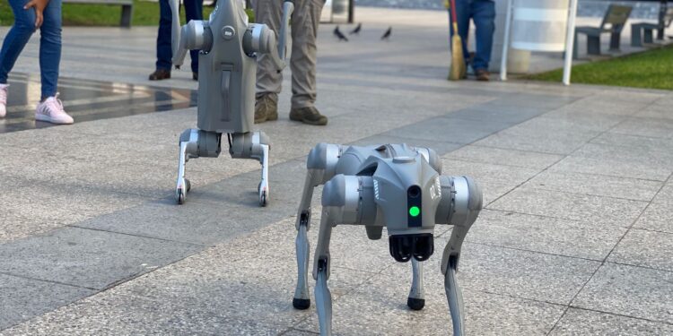 Investigan estudiantes de Universidad Politécnica Victoria con ¡roboperros!