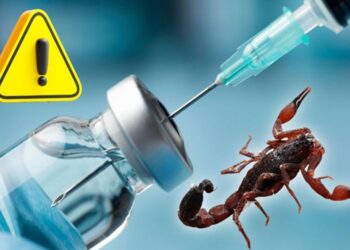 Cofepris alerta por robo de suero antialacrán en Morelos; su venta está prohibida