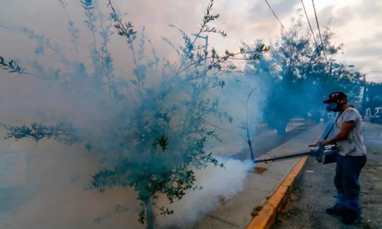 Van más de 6 mil casos de dengue en el país; 56% de ellos en 5 estados