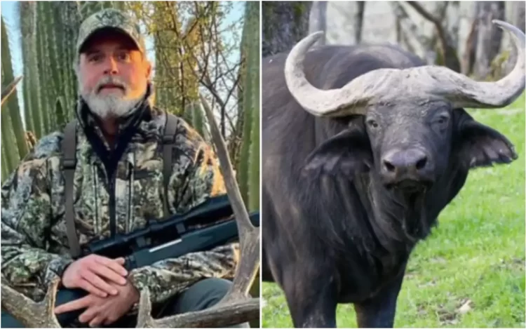 Empresario muere embestido por búfalo en safari en Sudáfrica
