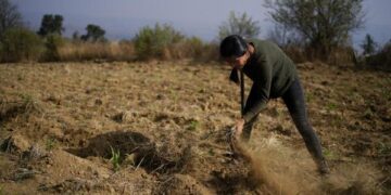 Productores del norte de Tamaulipas enfrentan falta de apoyos