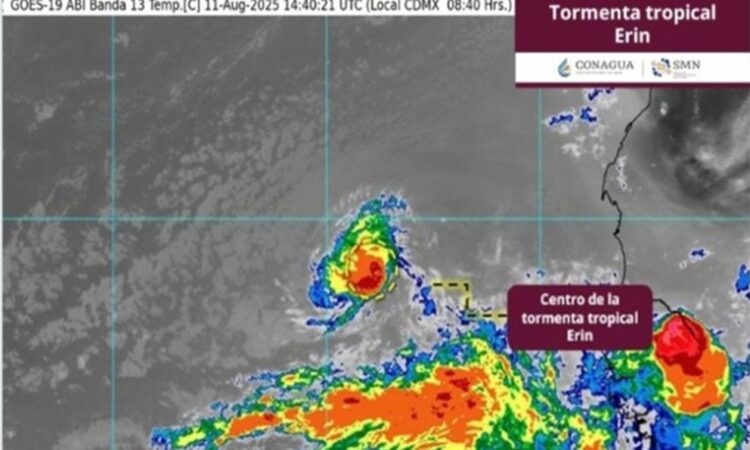 Tormenta tropical Erin se forma en el Atlántico: trayectoria y a dónde se dirige