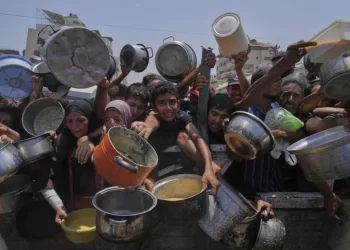 México acogería a niños huérfanos de Gaza si es necesario: Sheinbaum