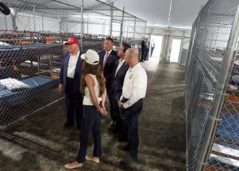 Frenan construcción de Alcatraz de los Caimanes