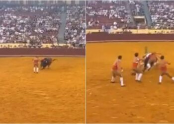 Forcado de 22 años fallece en Portugal tras accidente taurino