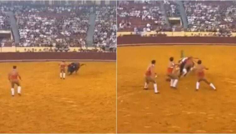 Forcado de 22 años fallece en Portugal tras accidente taurino