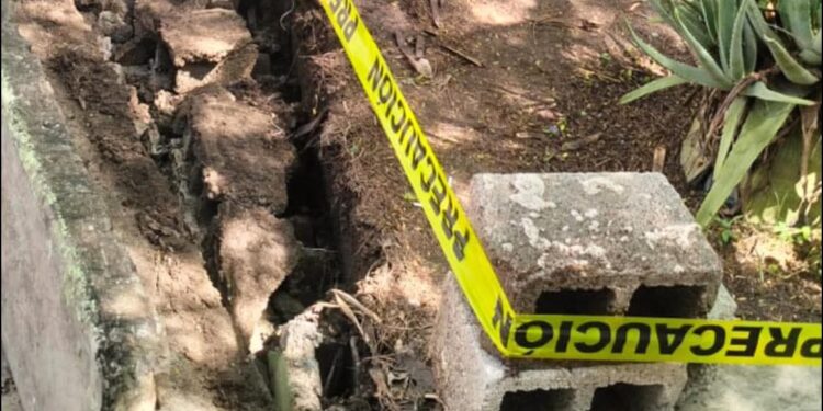 Cae jardinera sobre alumna en primaria “José Martínez y Martínez”