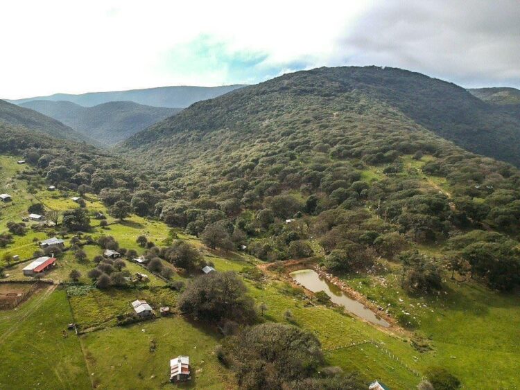 Crean la Cooperativa Ecoturística “Puerto Paraíso” en la sierra de Ciudad Victoria