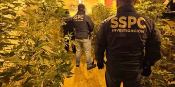 Caen cuatro con invernaderos de mariguana en pleno corazón de la CDMX