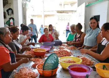Resalta Montiel labor de despicadoras de camarón en Tamaulipas; reitera apoyo social