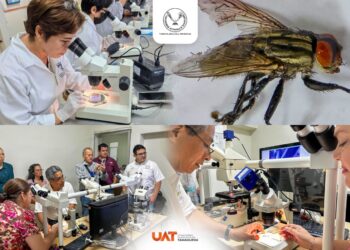 Colabora Facultad de Veterinaria de la UAT en acciones de prevención al gusano barrenador del ganado en Tamaulipas