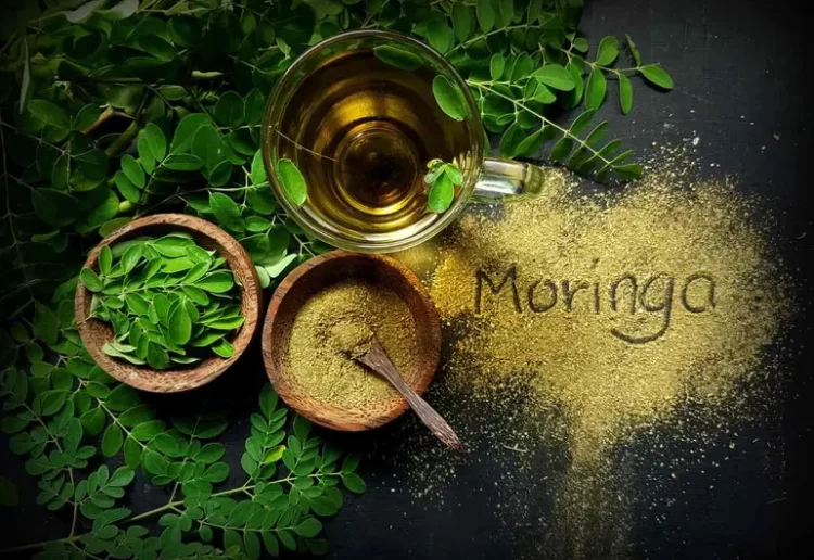 La moringa, el superalimento que revoluciona tu cocina y mejora la salud