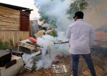 Exhorta SST a eliminar objetos inservibles en patios para evitar el dengue