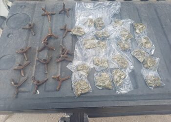 Realizan cateo de vivienda por narcomenudeo en Río Bravo