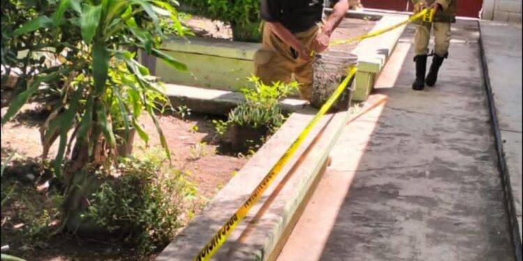 Cae jardinera sobre alumna en primaria “José Martínez y Martínez”