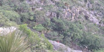 Cae auto en “Balcón del Chihue”, muere mujer y rescatan a dos heridos