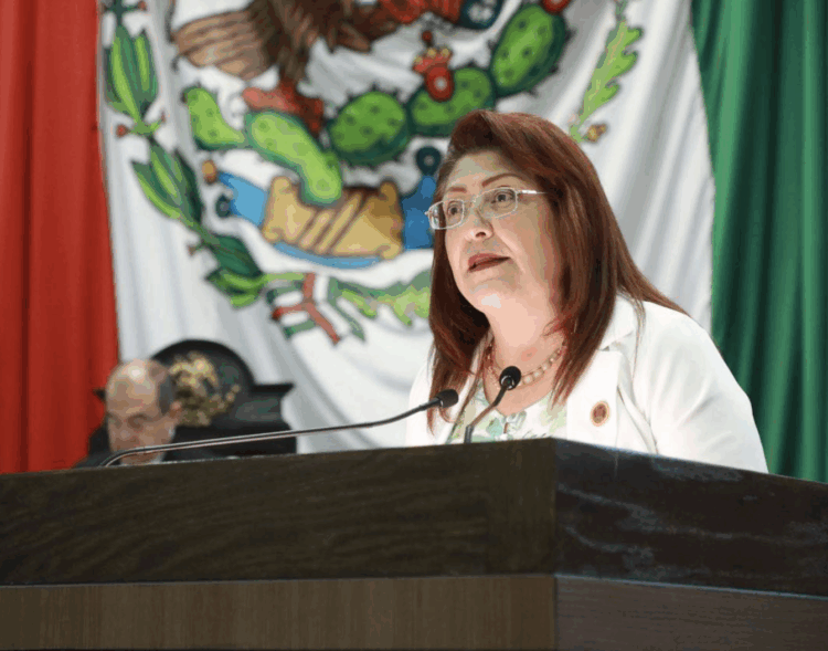 Exhortan a CFE a respaldar la energía solar doméstica en Tamaulipas