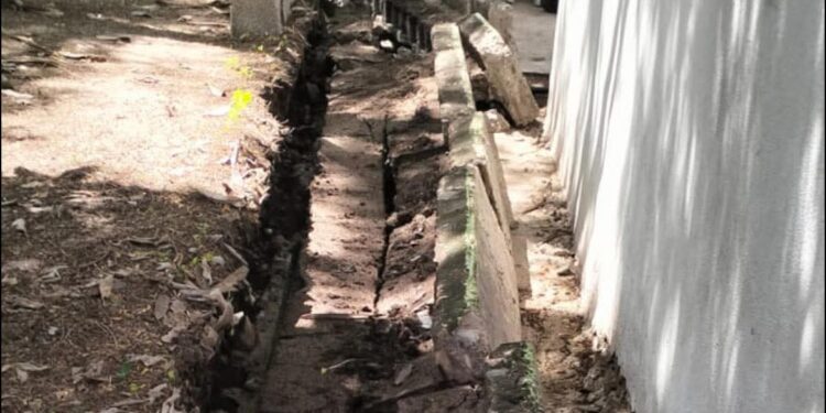 Cae jardinera sobre alumna en primaria “José Martínez y Martínez”