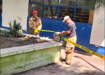 Cae jardinera sobre alumna en primaria “José Martínez y Martínez”