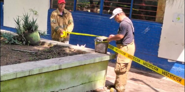 Cae jardinera sobre alumna en primaria “José Martínez y Martínez”