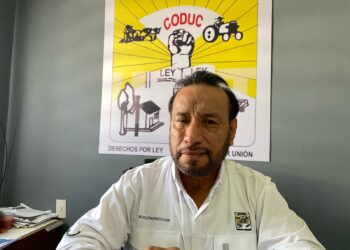 Demandan frenar importaciones de azúcar e impulsar producción nacional en México