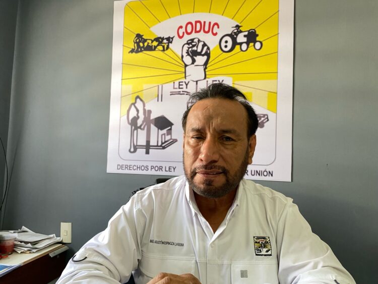 Demandan frenar importaciones de azúcar e impulsar producción nacional en México