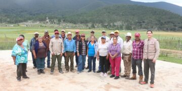 Crearán vivero de especies arbustivas, herbáceas y arbóreas en Miquihuana, Tamaulipas