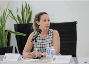 Plantea Diputada local ajustes a leyes federales para protección de datos personales