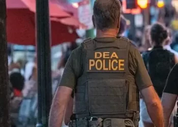 En una semana DEA captura a 617 miembros del Cártel de Sinaloa en EU y otros países